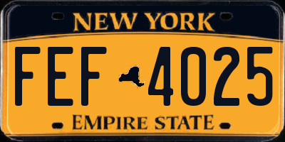 NY license plate FEF4025