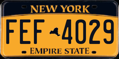 NY license plate FEF4029