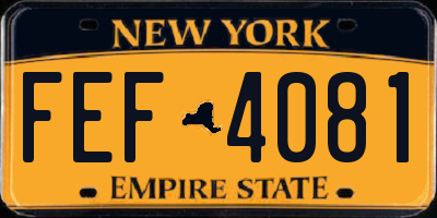 NY license plate FEF4081