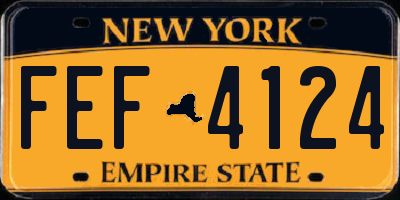 NY license plate FEF4124