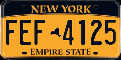 NY license plate FEF4125