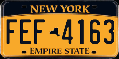 NY license plate FEF4163