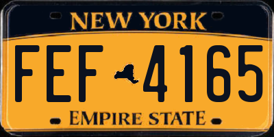 NY license plate FEF4165