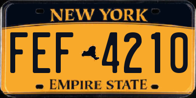 NY license plate FEF4210