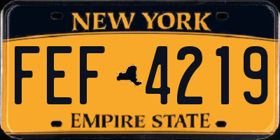 NY license plate FEF4219