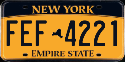 NY license plate FEF4221