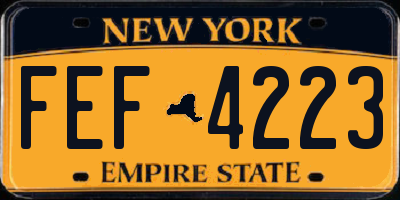 NY license plate FEF4223