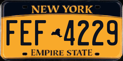 NY license plate FEF4229