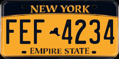 NY license plate FEF4234