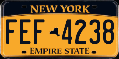 NY license plate FEF4238