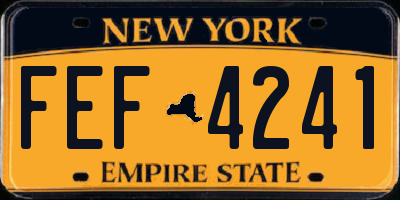 NY license plate FEF4241