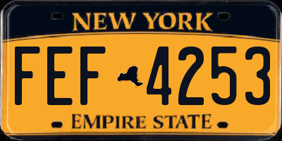 NY license plate FEF4253