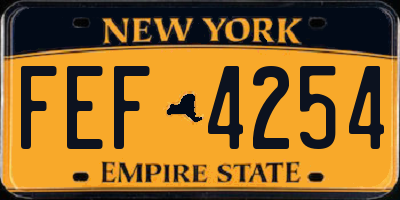 NY license plate FEF4254