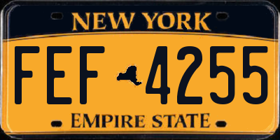 NY license plate FEF4255