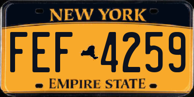 NY license plate FEF4259