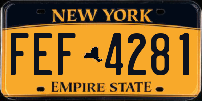 NY license plate FEF4281