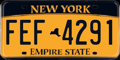 NY license plate FEF4291