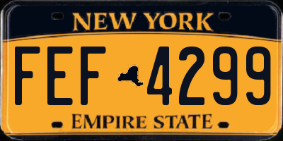 NY license plate FEF4299
