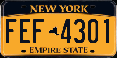 NY license plate FEF4301