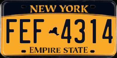 NY license plate FEF4314
