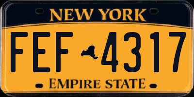 NY license plate FEF4317
