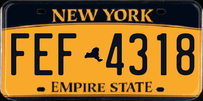 NY license plate FEF4318