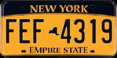 NY license plate FEF4319