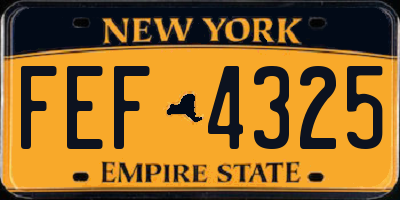 NY license plate FEF4325