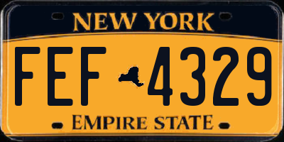 NY license plate FEF4329