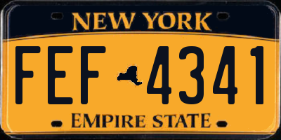 NY license plate FEF4341