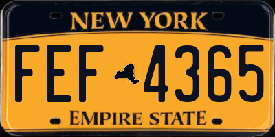 NY license plate FEF4365