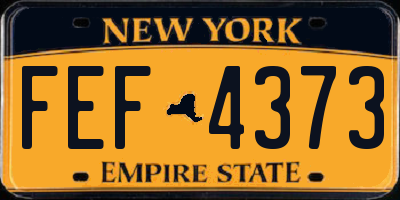 NY license plate FEF4373