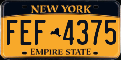 NY license plate FEF4375