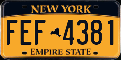 NY license plate FEF4381
