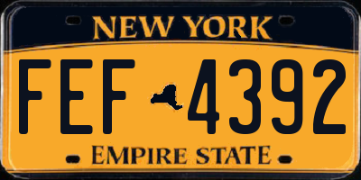 NY license plate FEF4392