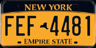 NY license plate FEF4481