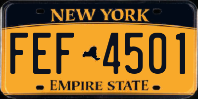 NY license plate FEF4501