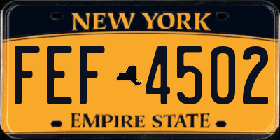 NY license plate FEF4502