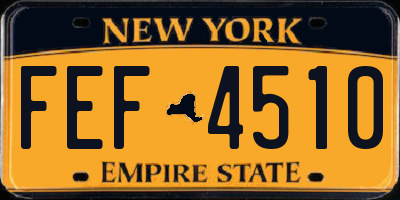 NY license plate FEF4510