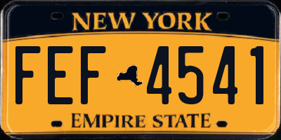 NY license plate FEF4541