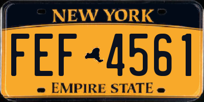 NY license plate FEF4561