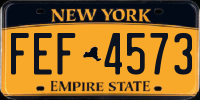 NY license plate FEF4573