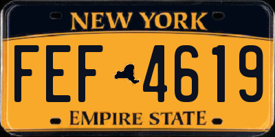 NY license plate FEF4619