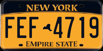 NY license plate FEF4719