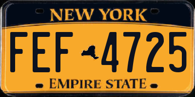 NY license plate FEF4725