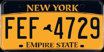 NY license plate FEF4729