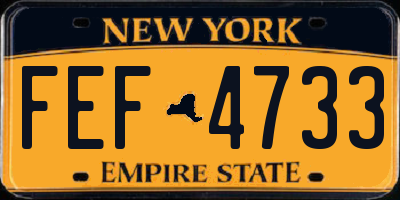 NY license plate FEF4733