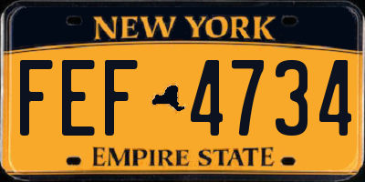 NY license plate FEF4734