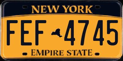 NY license plate FEF4745