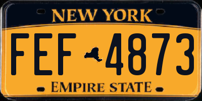 NY license plate FEF4873